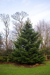 british Scotland England cityscape landscape