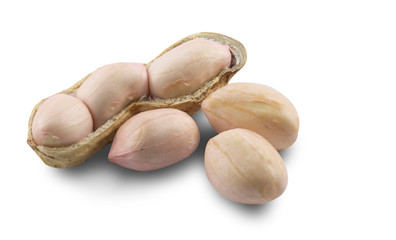 Peanuts isolated on white background.