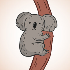 Koala. Vector color illustration in cartoon style. Drawing of a cute koala on a tree.