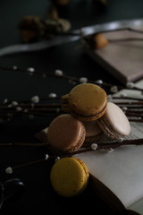 Cropped shot of macarons on black table with book and pussy willow decorated