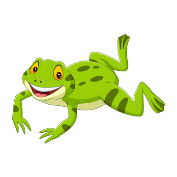 Cartoon happy green frog jumping