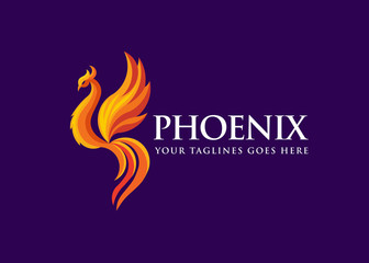 luxury phoenix logo concept, best phoenix bird logo design, phoenix vector logo, creative logo of mythological bird