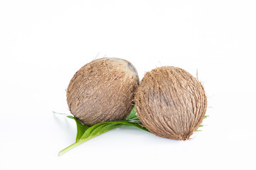 brown dry coconut on white background.