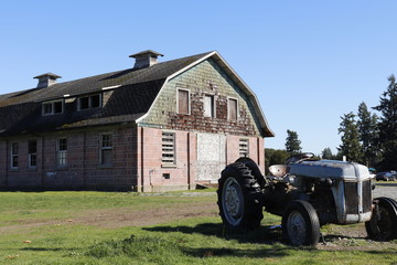 Obraz premium old tractor in the field
