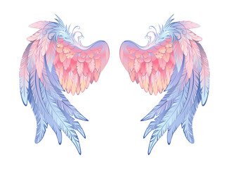 Fototapeta premium Delicate angel wings