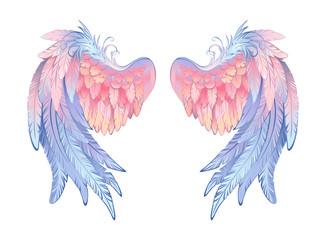 Delicate angel wings