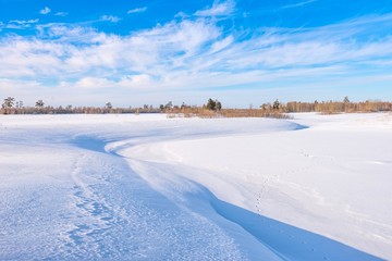 Fototapeta na wymiar Winter landscape: a snowy field with hills and a forest in the background against a blue sky and cirrus clouds