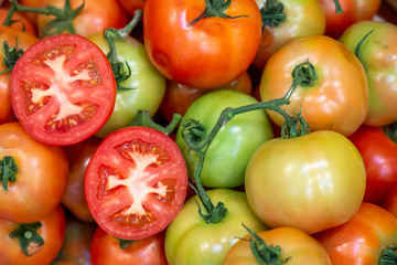 Fresh lot of tomato hanging  plants growing in greenhouse