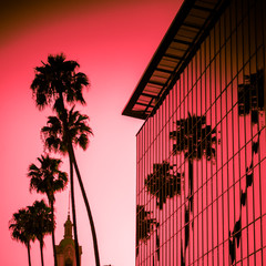 In Los Angeles California the Palm Trees stand tall and are reflecting off this nice glass building.