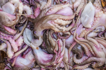 Asian city seafood market. Top and close up view of fresh small sized octopuses seafood for sale.