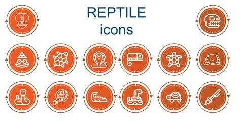 Editable 14 reptile icons for web and mobile