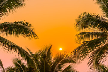 Fototapeta na wymiar Beautiful nature with palm tree around sea ocean beach at sunset or sunrise