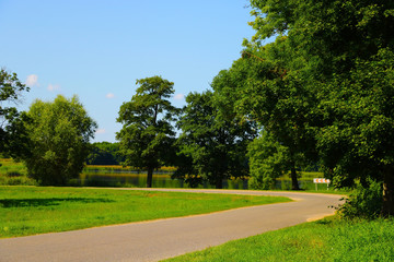 A small rural road along which trees grow.