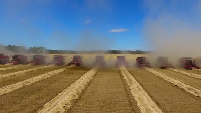 Wonderful aerial drone shot of huge modern industrial new combiner machine truck harvesting crops on sunset wheat field