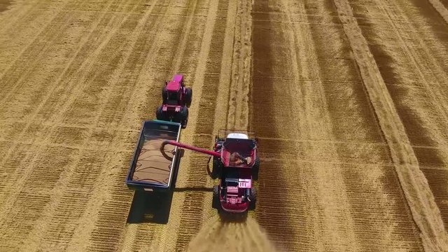 Excellent aerial drone shot of new huge modern industrial combiner truck machine harvesting crops on sunset wheat field