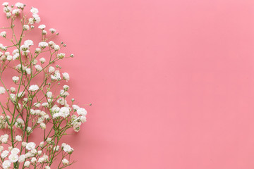 Obraz na płótnie Canvas Gypsophila white baby's breath flower on pastel pink background with copy space. Sweet and beautiful wallpaper for Valentine or wedding backdrop design. Gypsophila flower is mean forever love.