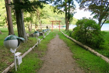 Fototapeta na wymiar 洞爺湖　中島