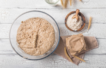 The leaven for bread is active. Starter.sourdough ( fermented mixture of water and flour to use as leaven for bread baking). The concept of a healthy diet
