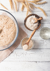 The leaven for bread is active. Starter.sourdough ( fermented mixture of water and flour to use as leaven for bread baking). The concept of a healthy diet