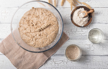 The leaven for bread is active. Starter.sourdough ( fermented mixture of water and flour to use as leaven for bread baking). The concept of a healthy diet