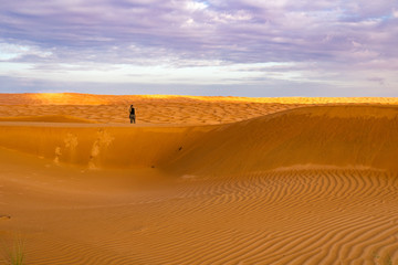 Wahiba Sand desert landscape of Sultanate of Oman - Curvy sand dunes pattern at sunset with cloudy sky.