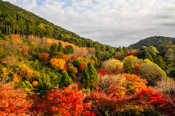 Kiyomizu-dera autumn