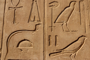 Fototapeta premium Ancient egyptian hieroglyphs on the wall in Karnak Temple Complex in Luxor, Egypt