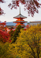 Kiyomizu-dera temple in autumn