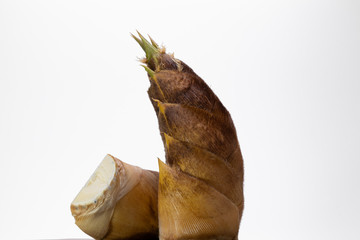 タケノコ　スライス　白背景