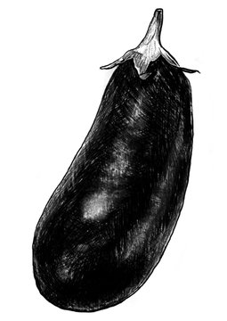 9 578 件の最適な ナス畑 画像 ストック写真 ベクター Adobe Stock