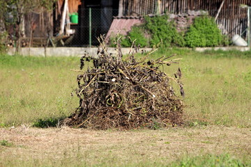 Pile of dry grass covered with branches and leaves left in large family house backyard surrounded with uncut grass and other backyards in background