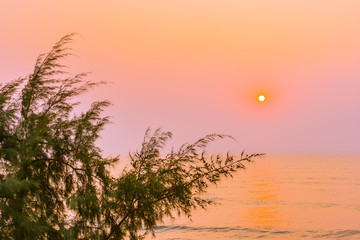 Beautiful nature with tree around sea ocean beach at sunset or sunrise time