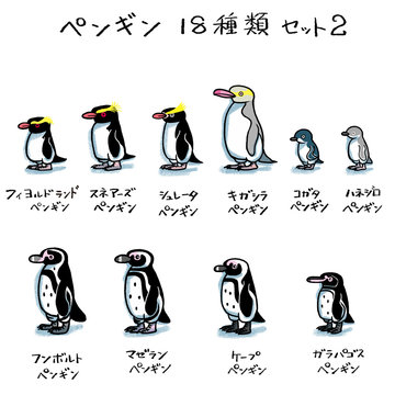 ペンギン１８種類セット２