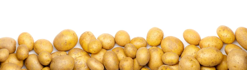 Vlies Fototapete Frisches Gemüse a heap of potatoes as banner, border, headline, header or panorama, isolated with white background