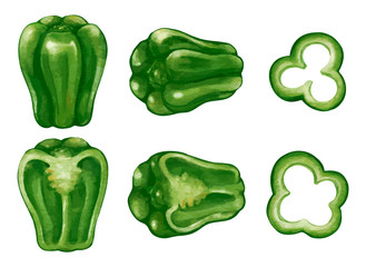 水彩風のピーマンとカットしたピーマン、スライスしたピーマンのイラスト