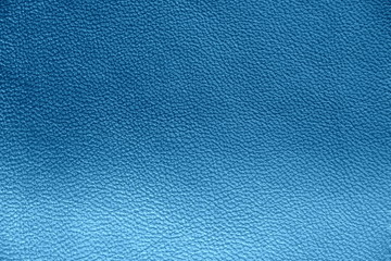 Genuine Leather. Blue background. The texture of the skin close-up.