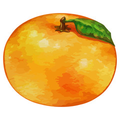 水彩風のみかんのイラスト