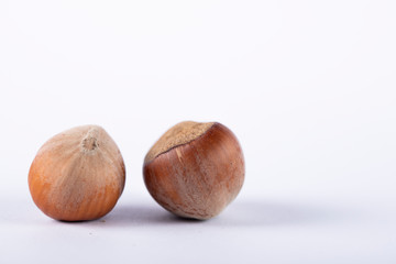 Two brown nuts on white background