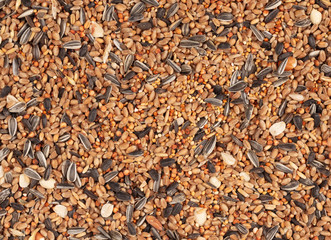 Birdfood - Mixed seeds, grain, nuts and corn