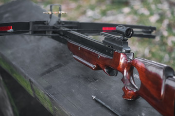 The sight, the trigger and the butt of the crossbow closeup, selective focus. The concept of hunting