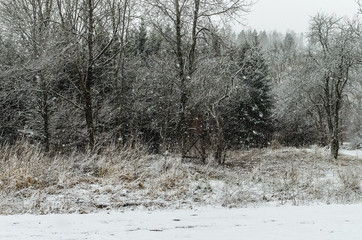 Las w śniegu zima Bieszczady