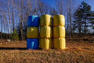 Obraz premium Norrtalje, Sweden Hay bales in a field covered in breathable plastic colored in yellow and blue, the colors of the Swedish fla.