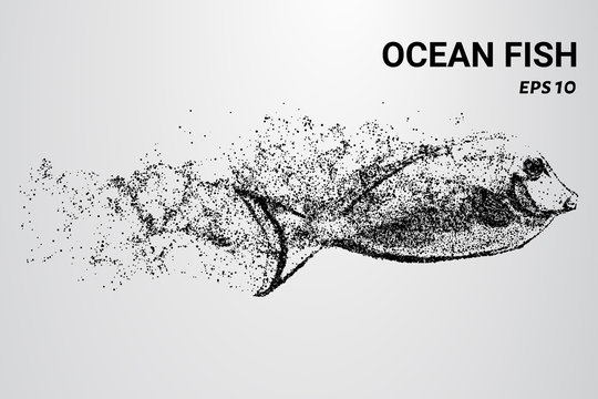 Ocean fish from the particles. Ocean fish consists of circles and dots. Ocean fish break up into molecules.