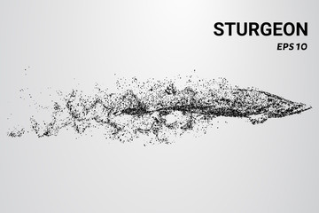 Sturgeon of the particles. Sturgeon consists of circles and dots. Sturgeon falls apart into molecules.