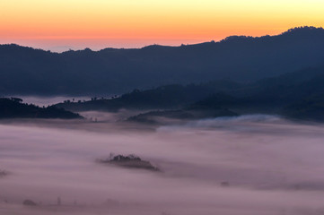 Fototapeta na wymiar Sunrise mist mountain Phu Lanka in Phayao ,Thailand