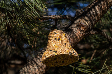 Bell from various grains, a delicacy for all the birds in the garden
