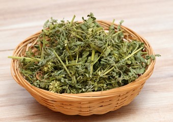 Dried Tribulus terrestris in the bowl.  Curative herb Tribulus terrestris and  its seeds called devil´s thorn.