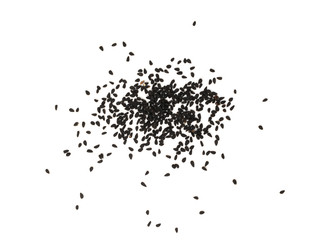 Black Cumin, Nigella Sativa or Black Caraway Seeds