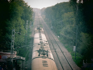 train scene travel track tree