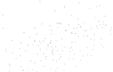 Flock of birds isolated on white background